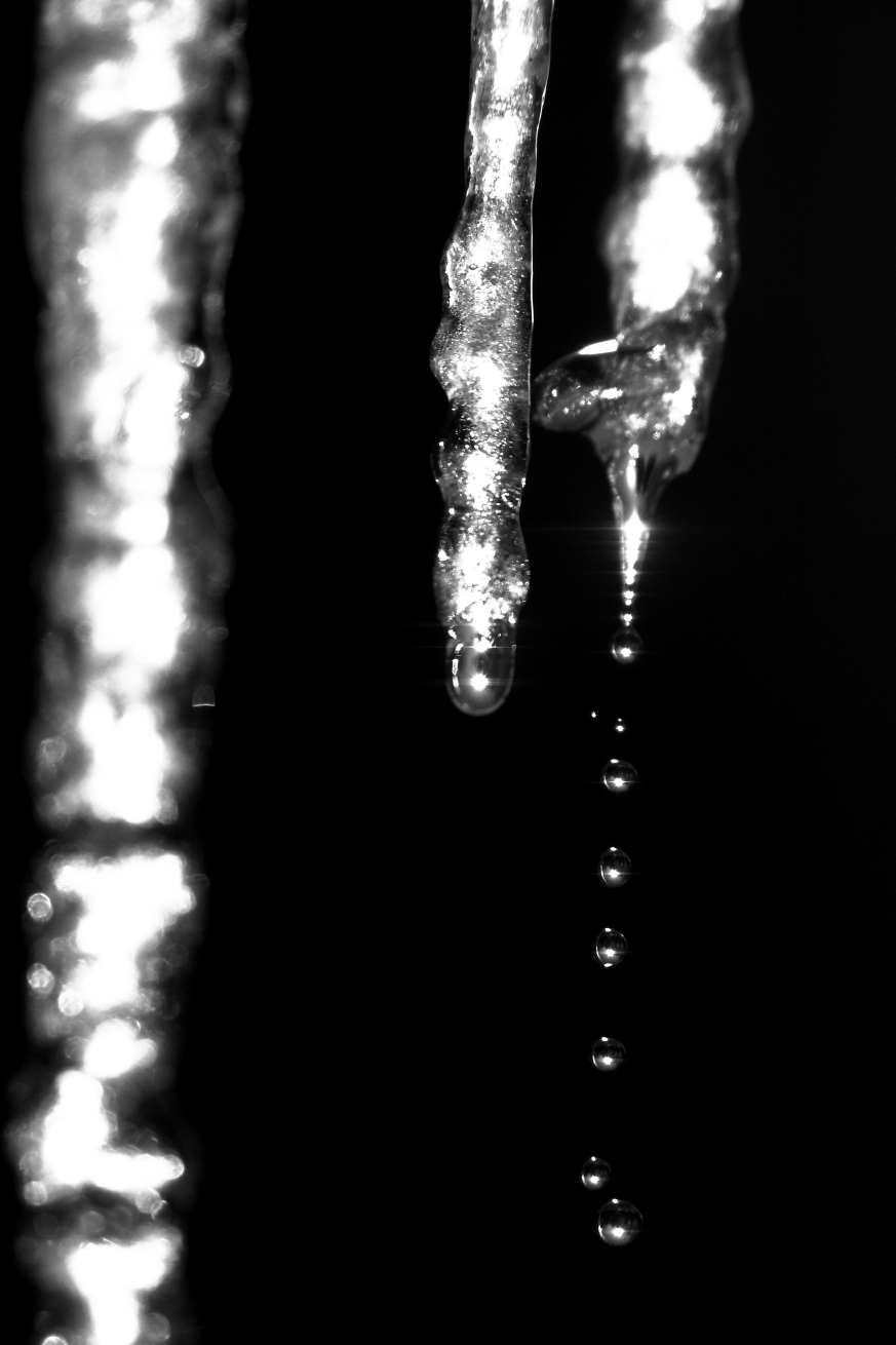 2015 01 29 HTP 000021779ebw